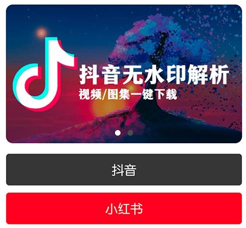 小红书/抖音视频解析下载无水印视频、图集 安卓APK安装包下载